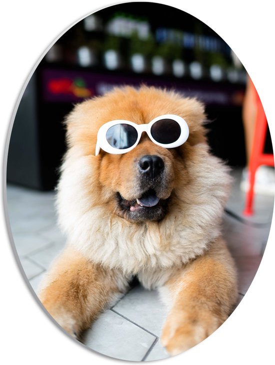 WallClassics - PVC Schuimplaat Ovaal - Coole Hond met Zonnebril - 30x40 cm Foto op Ovaal  (Met Ophangsysteem)