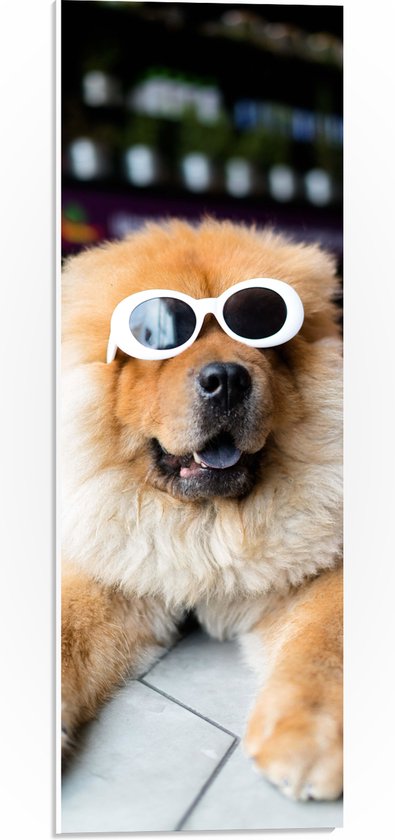 WallClassics - PVC Schuimplaat - Coole Hond met Zonnebril - 20x60 cm Foto op PVC Schuimplaat (Met Ophangsysteem)