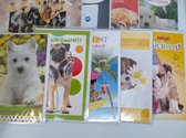 10 wenskaarten Hartelijk gefeliciteerd - Hond - Proost - Jarige - met envelop 12x17