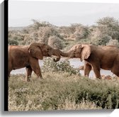 WallClassics - Canvas  - Begroeting van Afrikaanse Olifanten - 60x60 cm Foto op Canvas Schilderij (Wanddecoratie op Canvas)