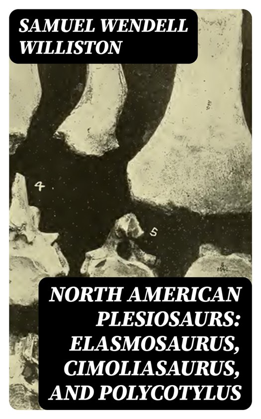 North American Plesiosaurs Elasmosaurus Cimoliasaurus And Polycotylus Ebook Bol Com