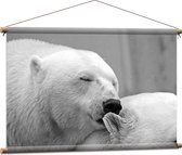 WallClassics - Affiche textile - Ours polaire câlin Zwart / Wit - 90x60 cm Photo sur textile