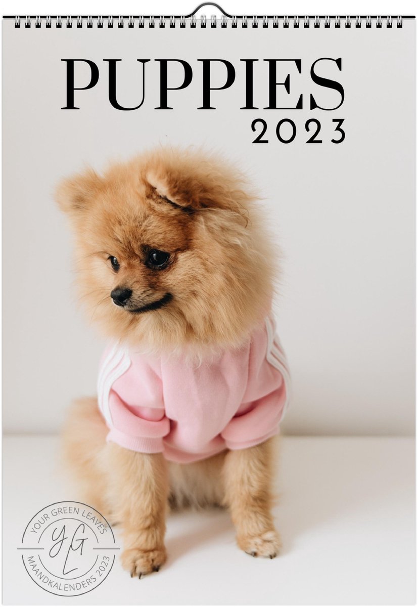 Kalender 2023 Puppies - Maandkalender 2023 - Maandplanner - Ophangbaar - Kleuren foto's - A4 (21 x 27.9 cm)