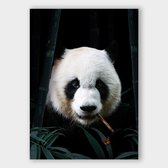 Poster Panda - Dibond - 100x140 cm  | Wanddecoratie - Interieur - Art - Wonen - Schilderij - Kunst