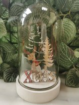 Snowglobe Christmas figurine with LED lights XMAS Christmas sapins et Renne et les lettres XMAS Ø9cmx16,5cm H