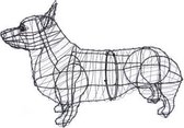 Hond Corgi - Frame
