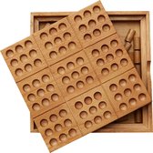 Breinbreker Bamboo Sudoku, Project Genius, EC305