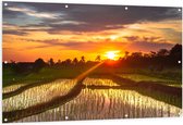 Tuinposter – Zonsondergang bij de Rijstvelden in Indonesië - 150x100 cm Foto op Tuinposter (wanddecoratie voor buiten en binnen)