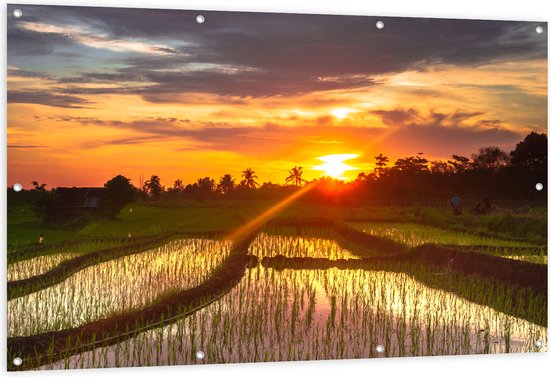 Tuinposter – Zonsondergang bij de Rijstvelden in Indonesië - 150x100 cm Foto op Tuinposter (wanddecoratie voor buiten en binnen)