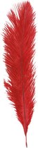 Chaks Pieten struisvogelveer/sierveer - rood - 55-60 cm - decoratie/hobbymateriaal