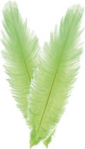 Chaks Pieten struisvogelveer/sierveer - 2x - lime groen - 55-60 cm - decoratie/hobbymateriaal