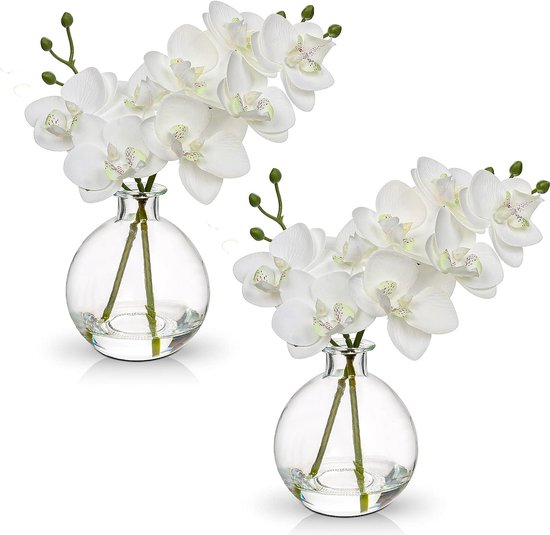2 pièces orchidées artificielles, blanches, avec vase en verre