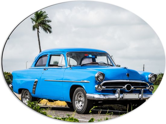 Dibond Ovaal - Oude Blauwe Vintage Auto bij Palmbomen - 68x51 cm Foto op Ovaal (Met Ophangsysteem)