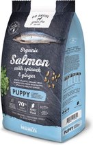 Go Native Grain Free Dog Puppy Salmon with Spinach & Ginger 12 kg - Hond