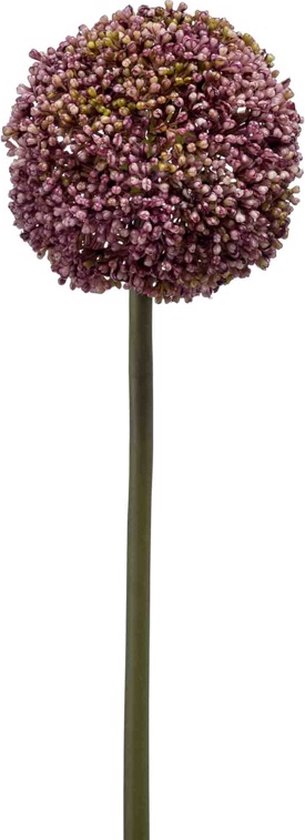 Kunstbloemen - Zijde Bloemen - Nep bloemen Luxe Bloemen - Allium 75 cm - Natuurlijk Bloemen