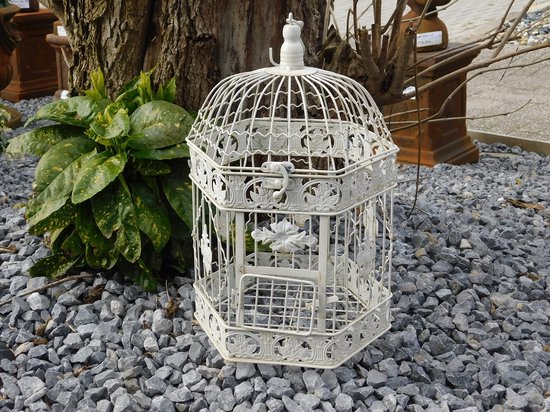 Cage à oiseaux décorative, pour l'oiseau, en métal, tuindeco romantique |  bol