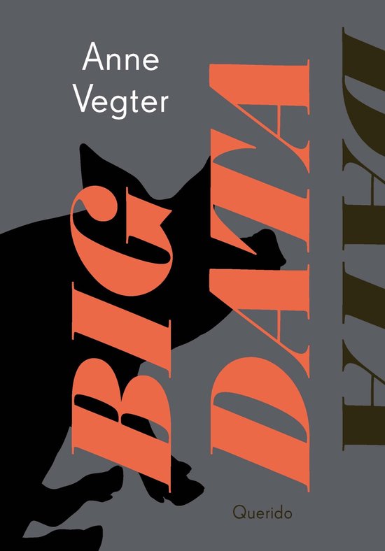 Big data - cover
