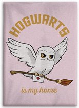 Harry Potter Fleeceplaid Zweinstein - 110 x 150 cm - Polyester