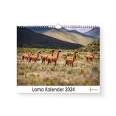 Huurdies - Lama Kalender - Jaarkalender 2024 - 35x24 - 300gms