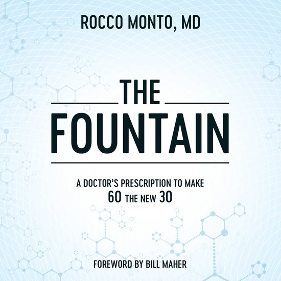 Fountain, The - cover