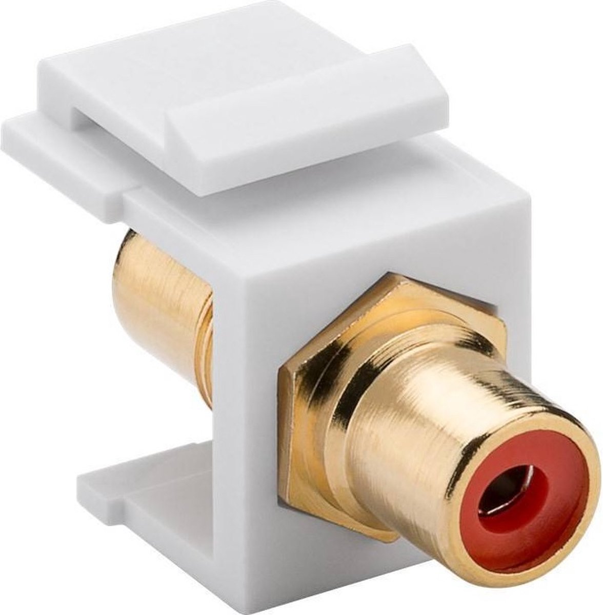 Keystone module Tulp RCA (v) - Tulp RCA (v) audio rechts (rood) verguld / wit