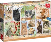 Premium Collection 1000- Timbres chat