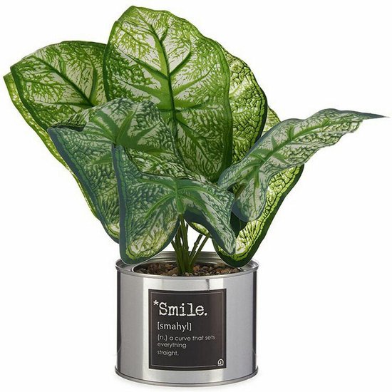 Decoratieve plant Metaal Plastic 26 x 26 x 26 cm (6 Stuks)