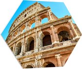 PVC Schuimplaat Hexagon - Onderaanzicht van Colesseum in Rome, Italië - 80x69.6 cm Foto op Hexagon (Met Ophangsysteem)