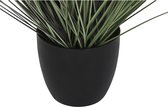 Decoratieve plant DKD Home Decor Lila (30 x 30 x 104 cm)