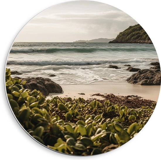 PVC Schuimplaat Muurcirkel - Kleine Groene Planten op het Strand aan de Zee - 40x40 cm Foto op Muurcirkel (met ophangsysteem)