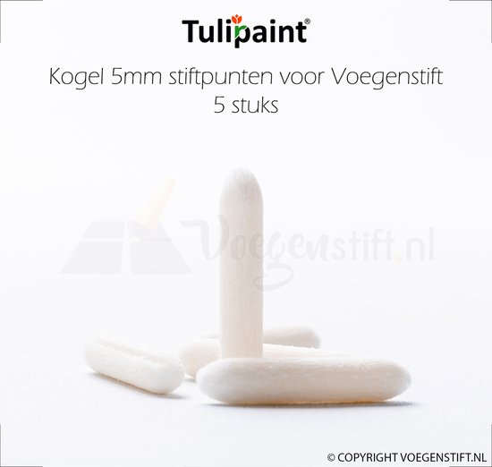 Tulipaint 5mm (Kogel) reservepunten 5 stuks voor Voegenstift - Tulipaint