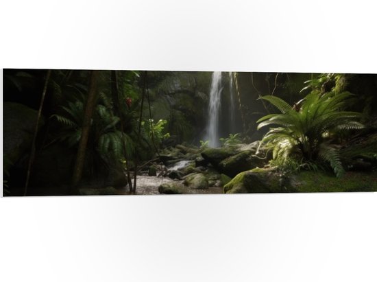 PVC Schuimplaat- Kleine Waterval tussen de Bladeren in het Bos - 120x40 cm Foto op PVC Schuimplaat