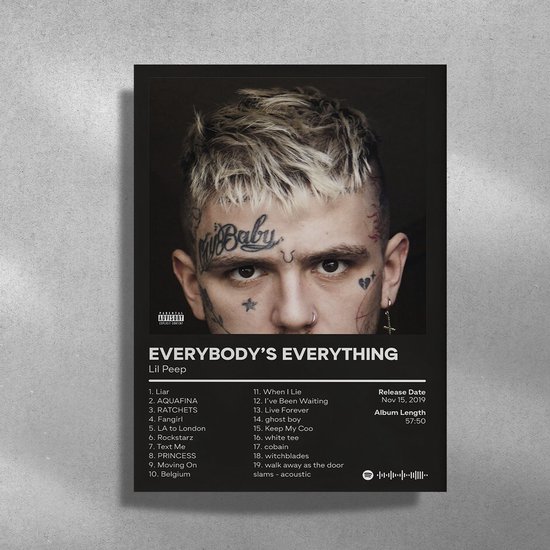 Lil Peep Metalen Poster Album Everybodys Everything 30x40cm