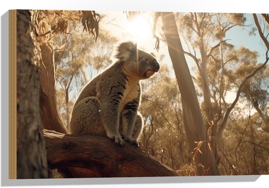 Hout - Koala Uitkijkend over het Bos vanaf Dikke Boomstronk - 60x40 cm - 9 mm dik - Foto op Hout (Met Ophangsysteem)