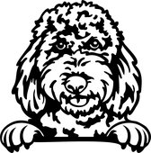 Sticker - Glurende Hond - Golden Doodle - Zwart - 25x20cm - Peeking Dog