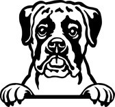 Sticker - Glurende Hond - Boxer - Zwart - 25x20cm - Peeking Dog