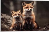 Dibond - Moeder vos en kind zitten in een bos - 75x50 cm Foto op Aluminium (Met Ophangsysteem)