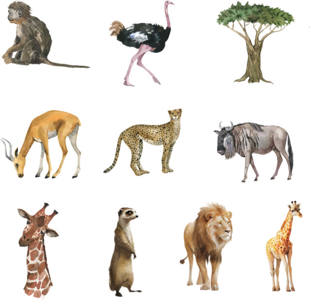 Groenboek Over Het Afrikaanse Concept Van Wilde Safari - Dieren Vector Illustratie Groenboek Over Het Afrikaanse Concept Van Wilde Safari - Dieren Vector Illustratie