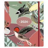 Studio Onszelf Kleurrijke Vogels 2024 agenda