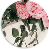 PVC Schuimplaat Muurcirkel - Bloemen - Rozen - Bladeren - Roze - 30x30 cm Foto op Muurcirkel (met ophangsysteem)