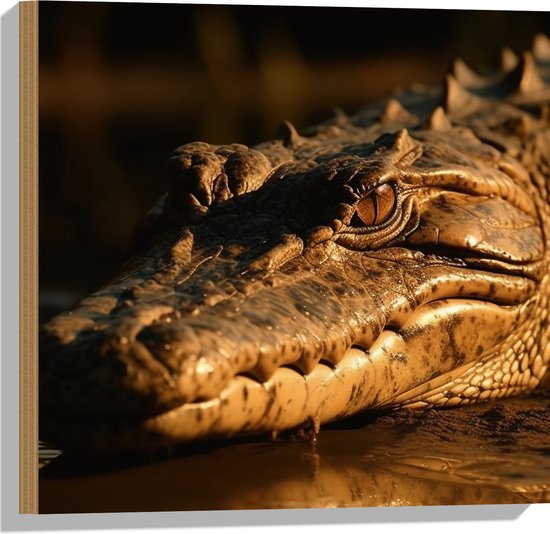 Hout - Krokodil ligt op de grond met zijn hoofd in het water - 50x50 cm - 9 mm dik - Foto op Hout (Met Ophangsysteem)