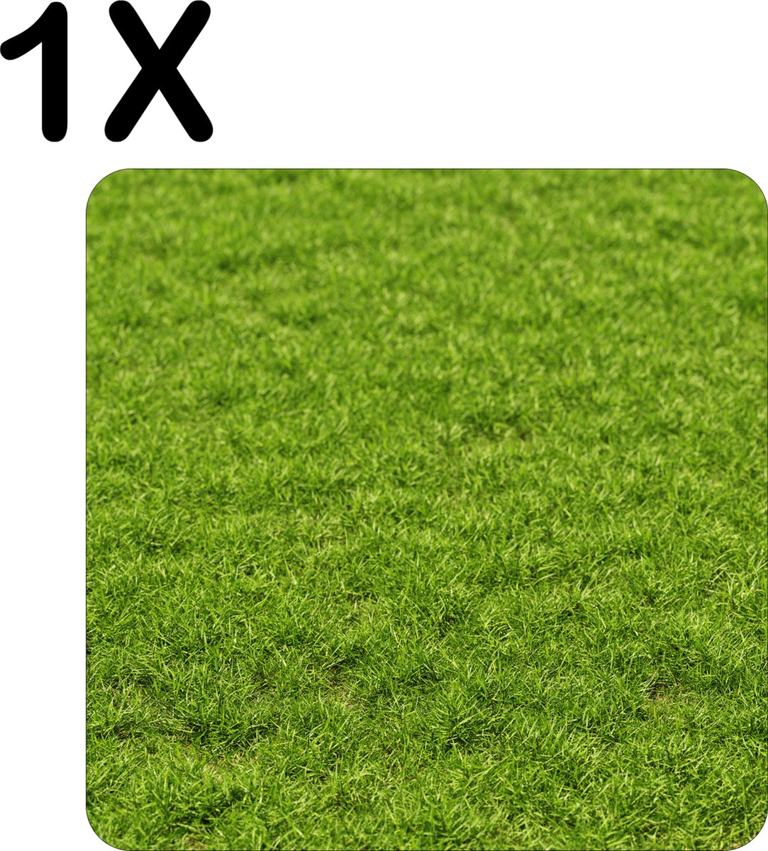 BWK Flexibele Placemat - Groen Gras - Set van 1 Placemats - 50x50 cm - PVC Doek - Afneembaar