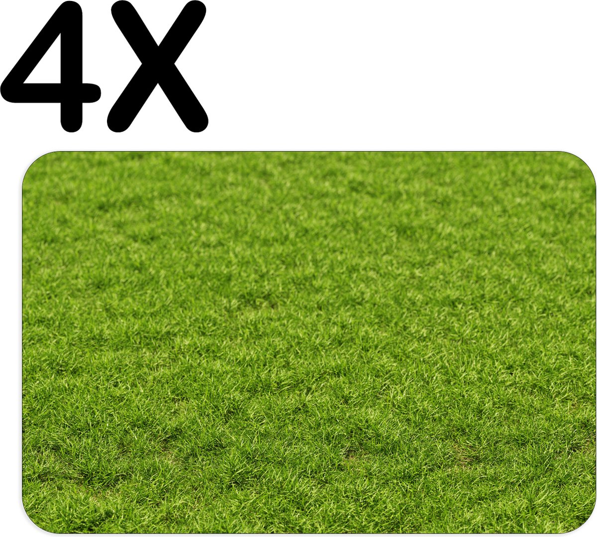 BWK Flexibele Placemat - Groen Gras - Set van 4 Placemats - 45x30 cm - PVC Doek - Afneembaar