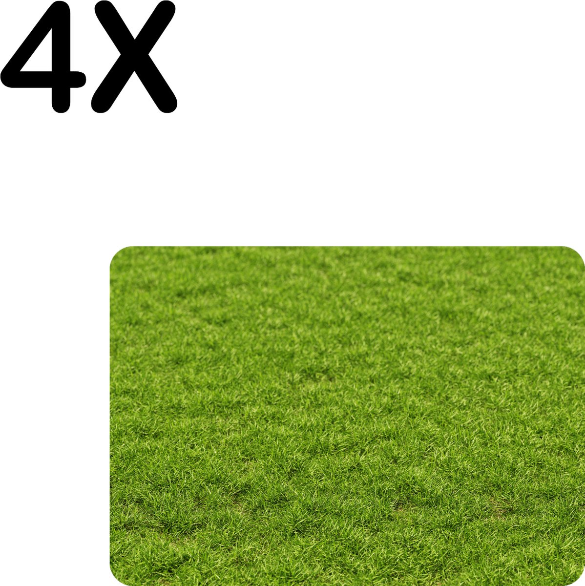 BWK Flexibele Placemat - Groen Gras - Set van 4 Placemats - 35x25 cm - PVC Doek - Afneembaar