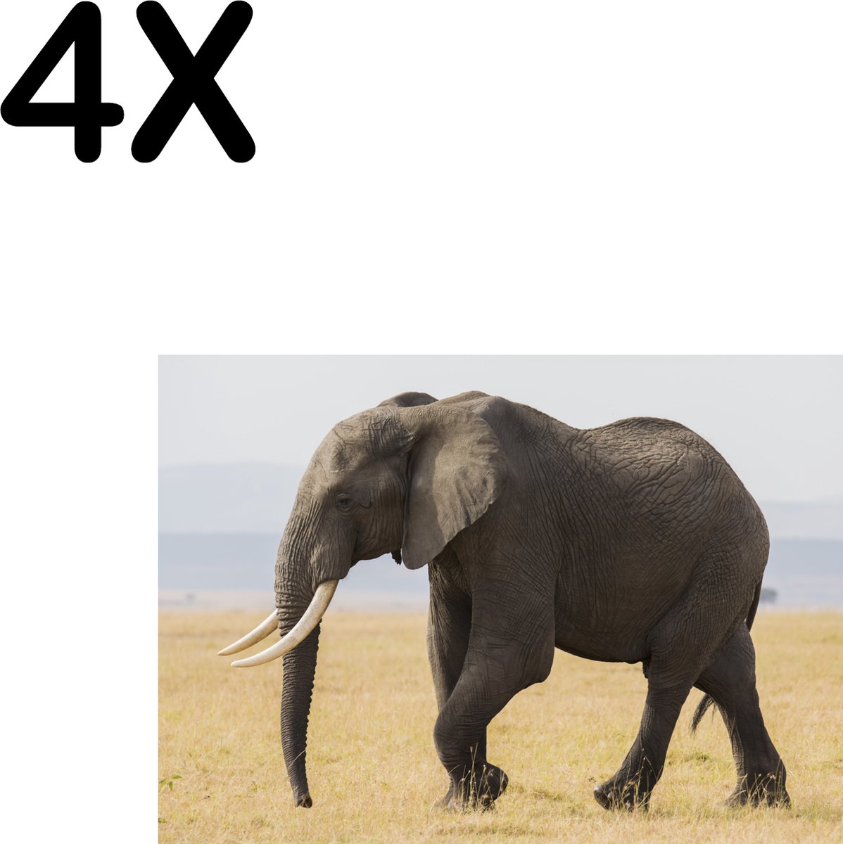 BWK Textiele Placemat - Lopende Olifant in het Wild - Set van 4 Placemats - 35x25 cm - Polyester Stof - Afneembaar
