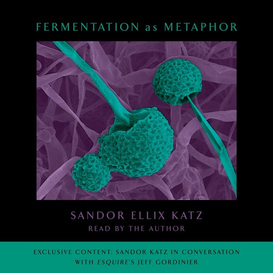Fermentation as Metaphor - cover