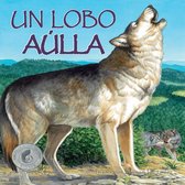 Un Lobo Aúlla