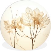 WallCircle - Wandcirkel ⌀ 90 - Droogbloemen - Beige - Planten - Wit - Ronde schilderijen woonkamer - Wandbord rond - Muurdecoratie cirkel - Kamer decoratie binnen - Wanddecoratie muurcirkel - Woonaccessoires