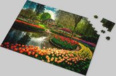 Tulpen Puzzel - Bloemen - Natuur - Landschap - Kleurrijk - Legpuzzel - Betoverende Bloemenpracht - 500 Stukjes - Hoogwaardige Kartonnen Puzzel - Natuurlijke Schoonheid - Ontspannende Tijdverdrijf - Kleurrijke Tulpenweelde