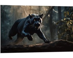 Dibond - Zwarte panter rent door bos heen - 90x60 cm Foto op Aluminium (Wanddecoratie van metaal)